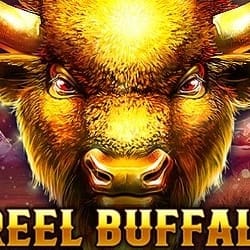 1 Reel Buffalo